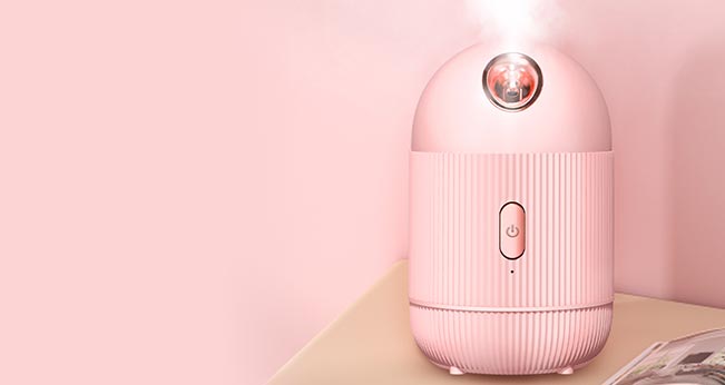 Facial Steamer